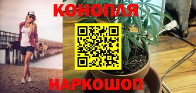 spice Нальчик