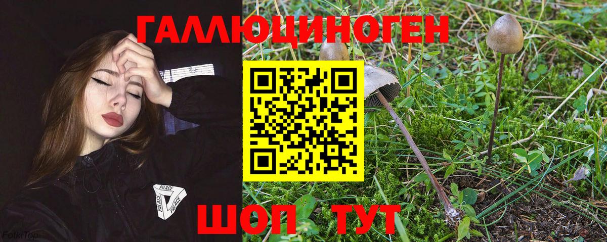 Тольятти  Галлюциногенные грибы мухоморы  Вход с VPN  Галлюциногенные грибы прущие грибы 
