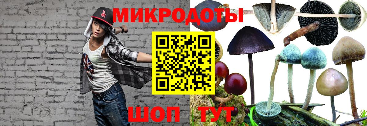 Галлюциногенные грибы GOLDEN TEACHER Тольятти